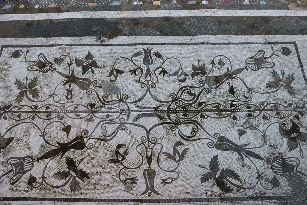 VII.16.13 Pompeii. June 2019. Detail from entrance mosaic. Photo courtesy Buzz Ferebee.

