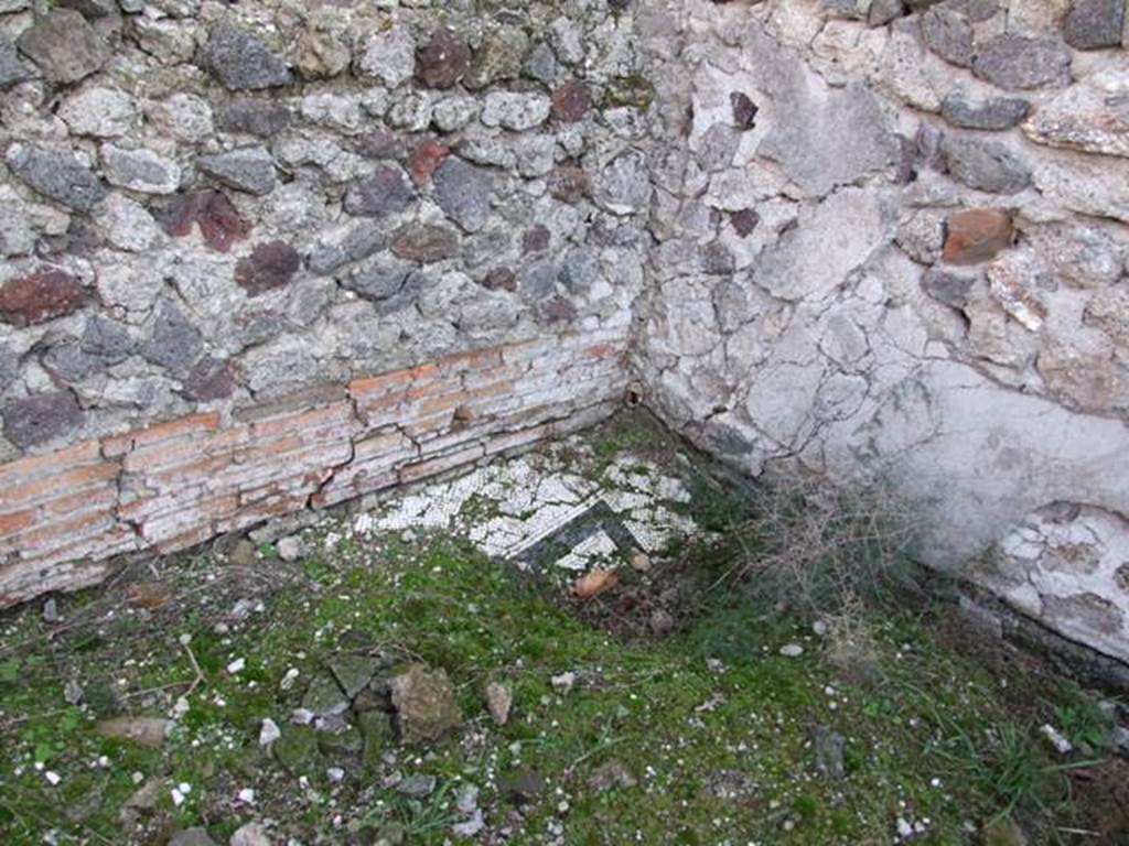 VII.16.15 Pompeii. December 2007. Room 11, middle cubiculum, remains of mosaic in south-east corner.