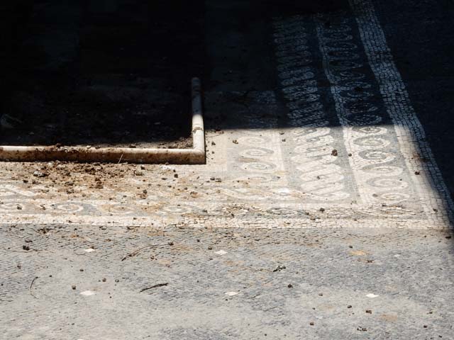 VII.16.22 Pompeii. May 2015. Detail of atrium floor and looking west along edge of north side of impluvium.  Photo courtesy of Buzz Ferebee.

