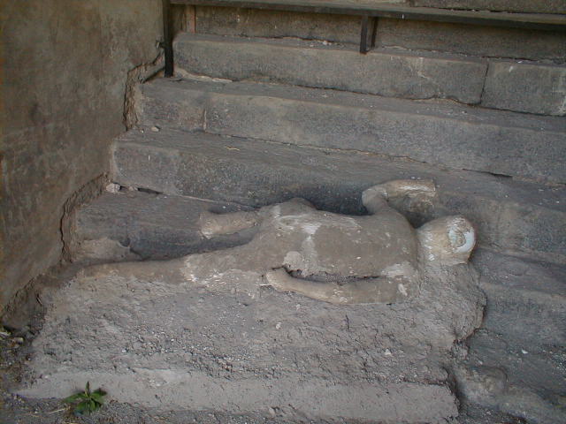 VII.16.17-22 Pompeii. December 2007. Remains of amphorae at the side of the stairs.