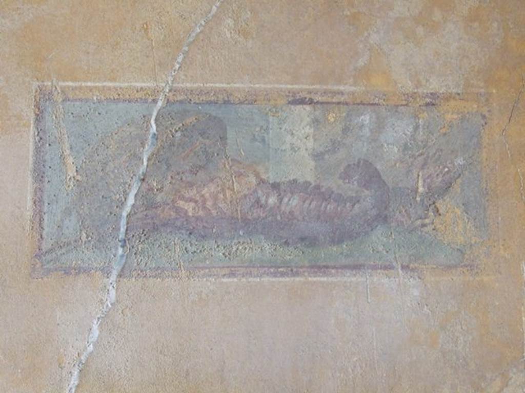 VII.16.17-22 Pompeii. December 2007. Cubiculum 53, detail of painted wall panel of lobster, from north wall of alcove. 

