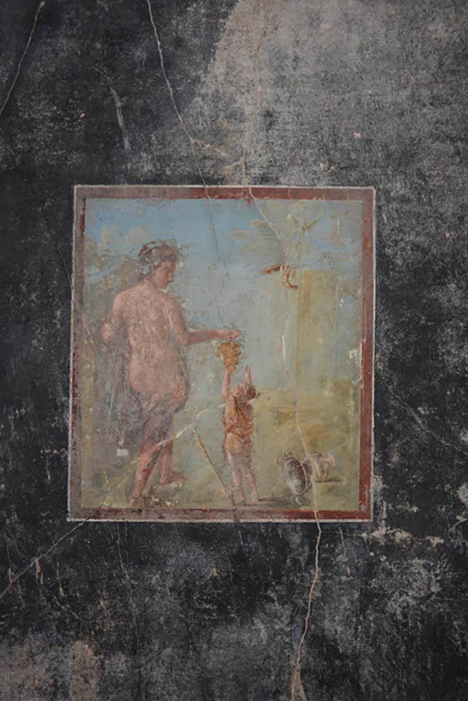 VII.16.22 Pompeii. October 2018. Room 58, central wall painting from north wall.
Foto Annette Haug, ERC Grant 681269 DÉCOR.
