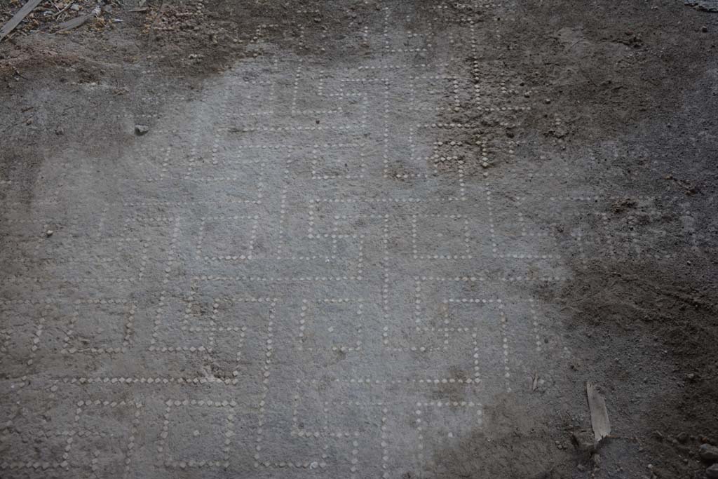 VII.16.17-22 Pompeii. October 2018. Peristyle 14, flooring.
Foto Annette Haug, ERC Grant 681269 DÉCOR.
