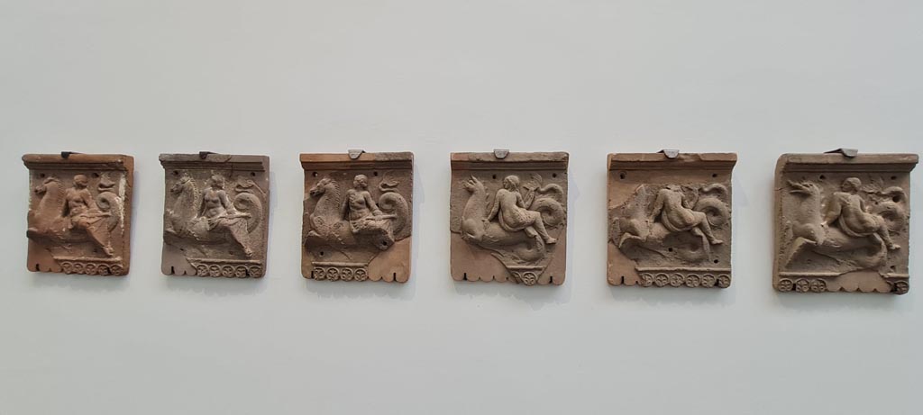 VIII.1.4 Pompeii Antiquarium. April 2022. 
Terracotta slabs with nereids on tritons (from Pompeii), which may have been found during the excavation of the foundations of the Greek temple.
Photo courtesy of Giuseppe Ciaramella.

