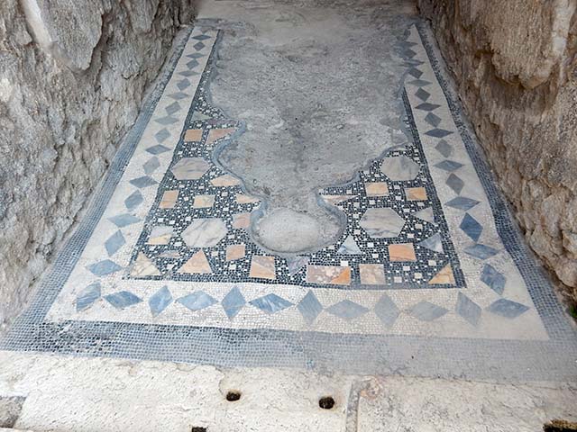 VIII.2.1 Pompeii. October 2020. Detail of entrance corridor mosaic. Photo courtesy of Klaus Heese.