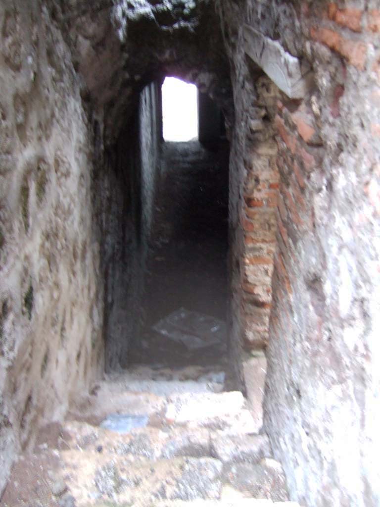 VIII.2.1 Pompeii. December 2005. Steps to lower level 1. 