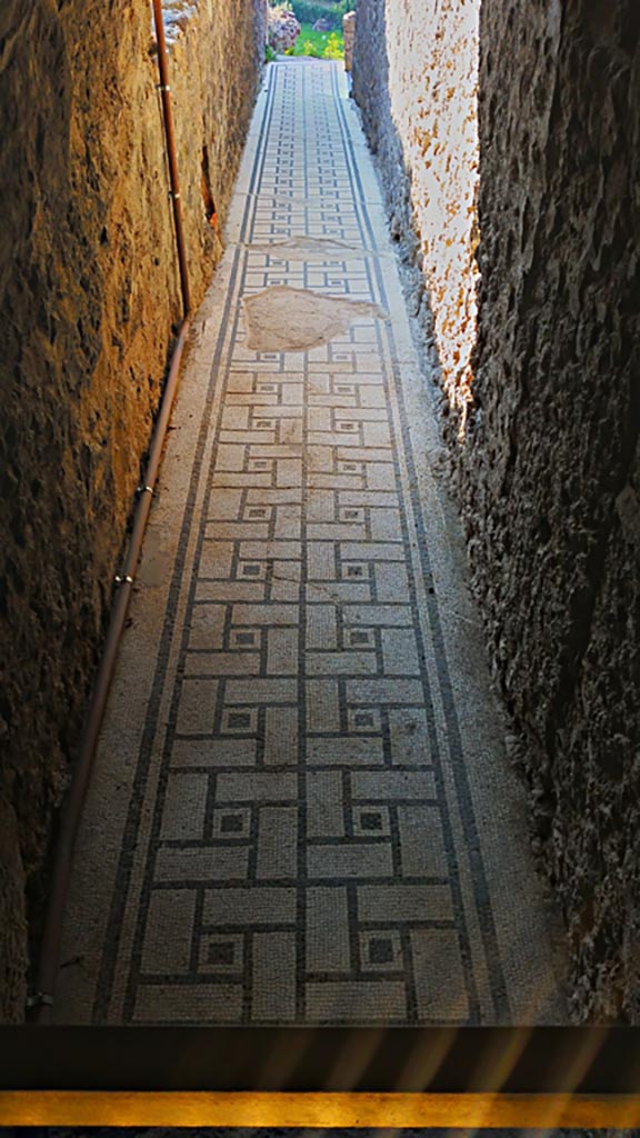 VIII.2.1 Pompeii. 2017/2018/2019.
Looking south along black and white mosaic floor in corridor 38 or (α), on lower level 1.
Photo courtesy of Giuseppe Ciaramella.

