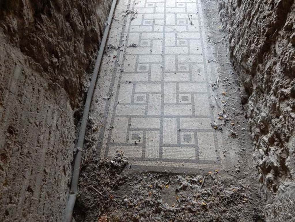 VIII.2.1 Pompeii. May 2018. Black and white mosaic in corridor on lower level. Photo courtesy of Buzz Ferebee.