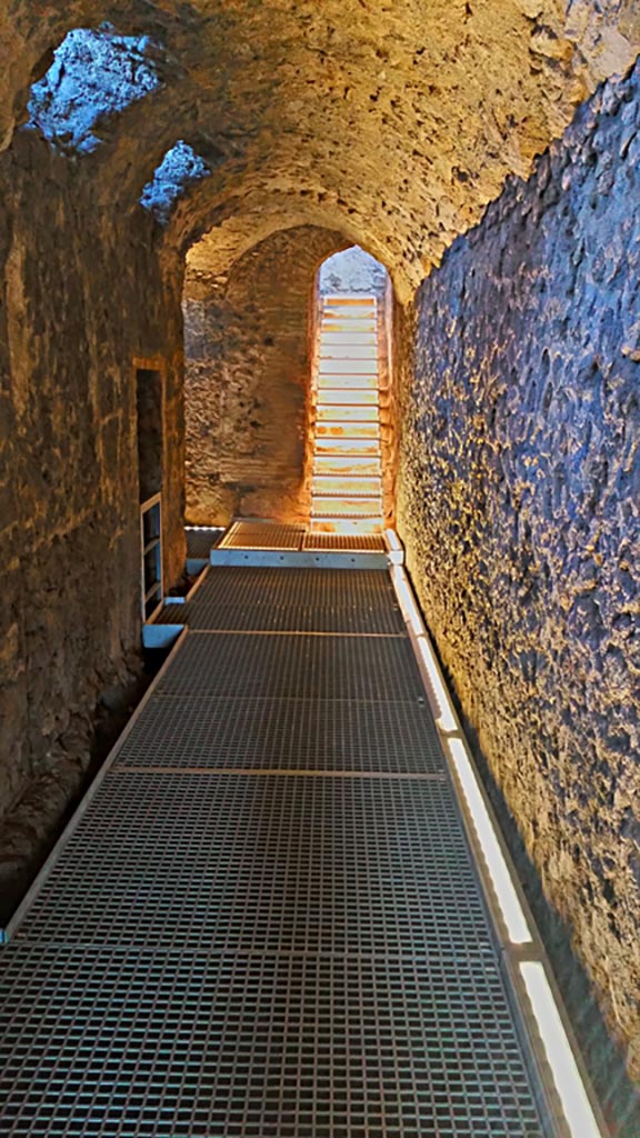 VIII.2.1 Pompeii. 2017/2018/2019
Lower level 1, looking north along east corridor/cryptoporticus 29 towards steps to ground floor level above. 
Photo courtesy of Giuseppe Ciaramella.

