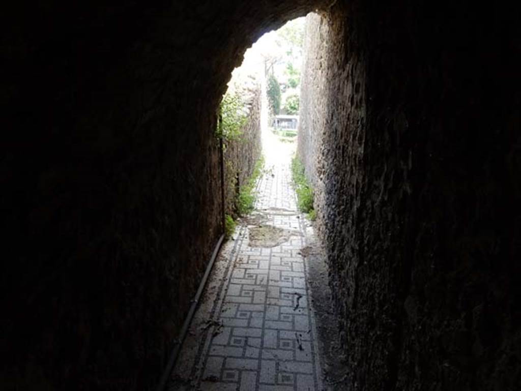 VIII.2.1 Pompeii. May 2018. Looking south along corridor (α), on lower level. Photo courtesy of Buzz Ferebee.