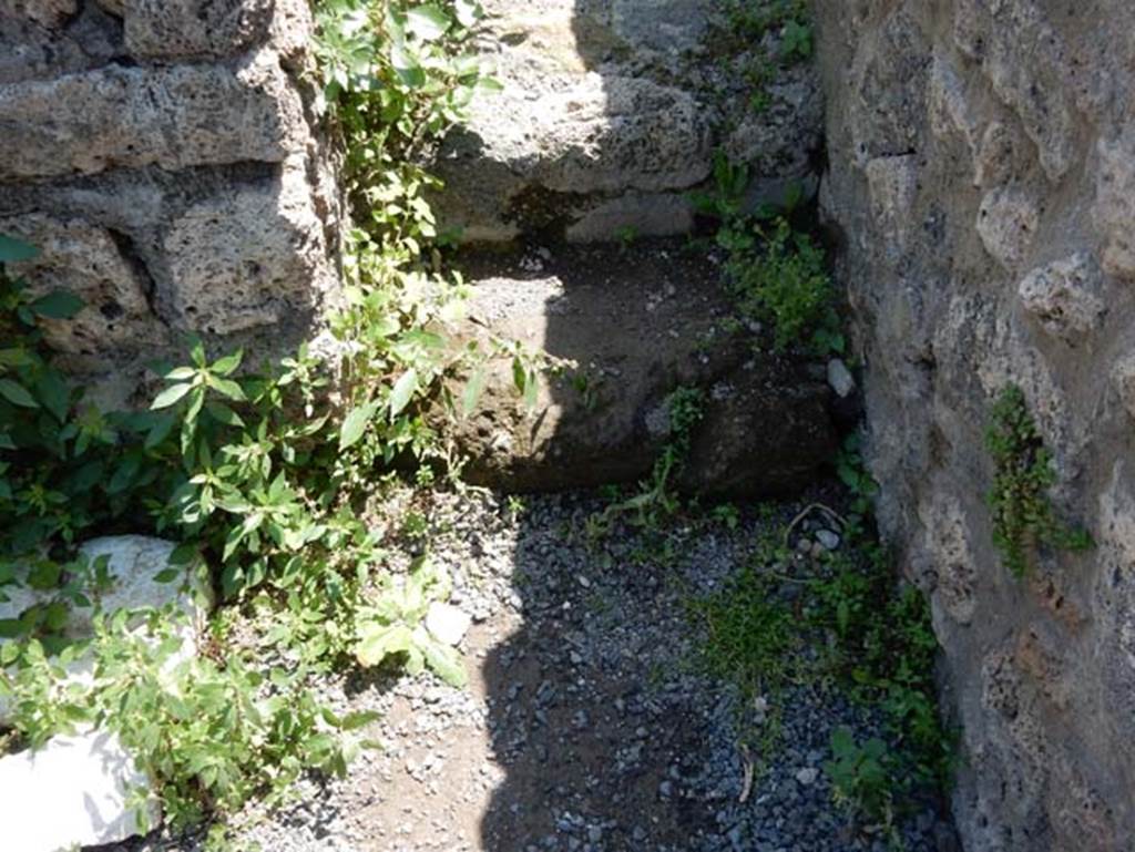 VIII.2.5 Pompeii. May 2018. Steps in south-west corner of rear room. Photo courtesy of Buzz Ferebee.