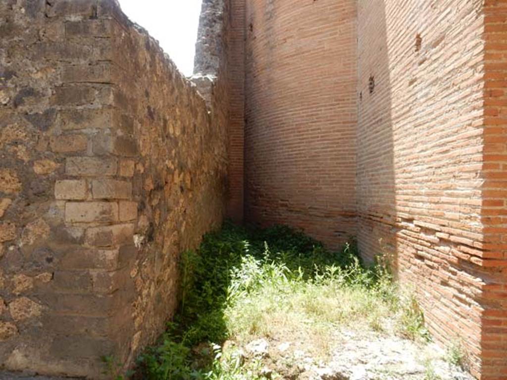VIII.2.7 Pompeii. May 2018. West wall of passageway looking north towards entrance at VIII.2.7. This wall is also part of VIII.2.6. Photo courtesy of Buzz Ferebee.

