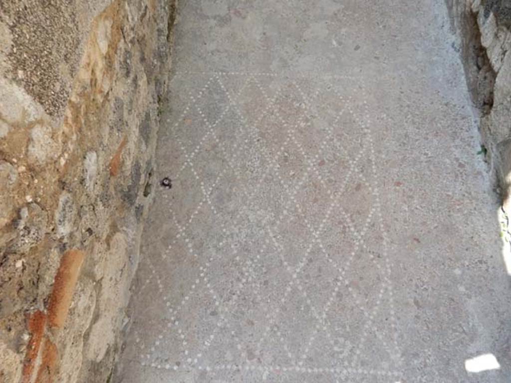VIII.2.13 Pompeii. May 2018. Detail of flooring. Photo courtesy of Buzz Ferebee.