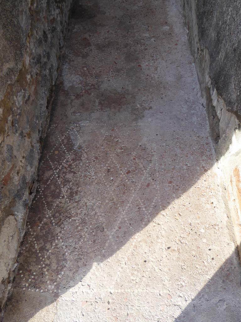 VIII.2.13 Pompeii. January 2017. Detail of flooring.
Foto Annette Haug, ERC Grant 681269 DÉCOR.

