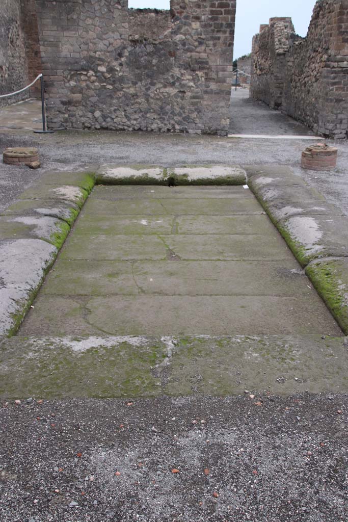 VIII.2.14 Pompeii. October 2020. Looking west across impluvium in atrium. Photo courtesy of Klaus Heese.