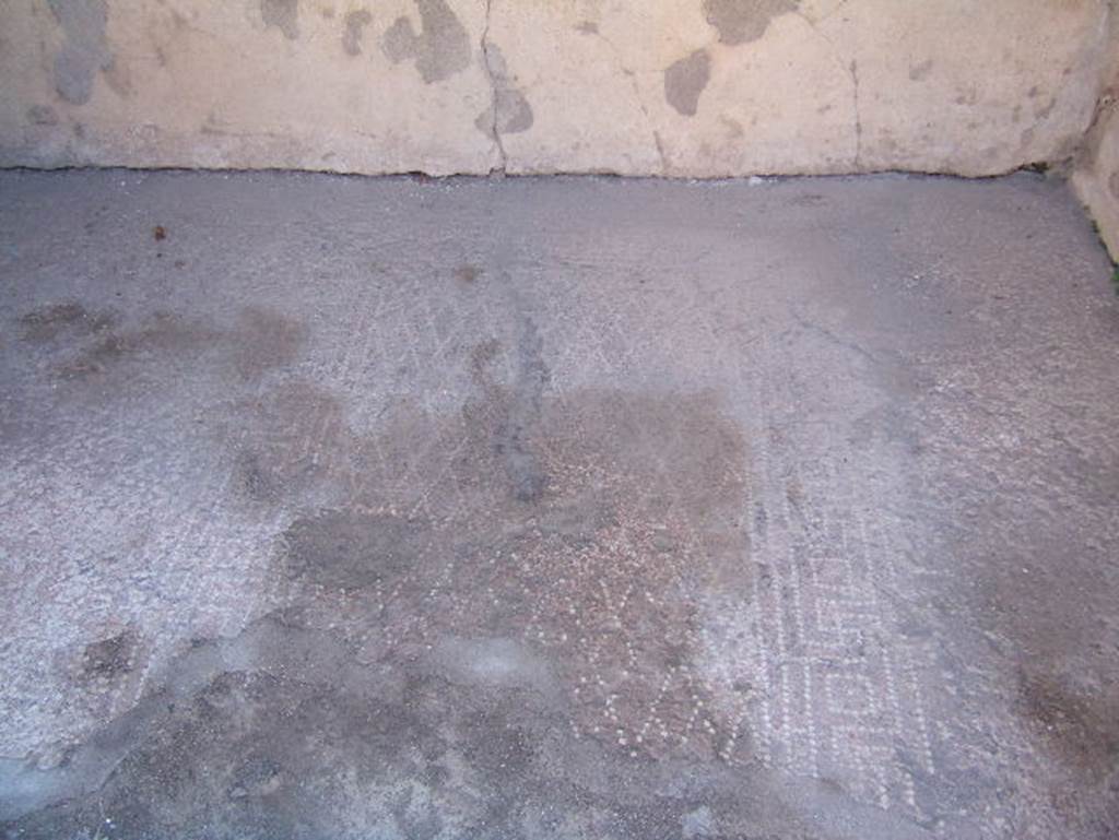 VIII.2.16 Pompeii. May 2017. Detail of floor design from cubiculum in centre of south wall.   Photo courtesy of Buzz Ferebee.
