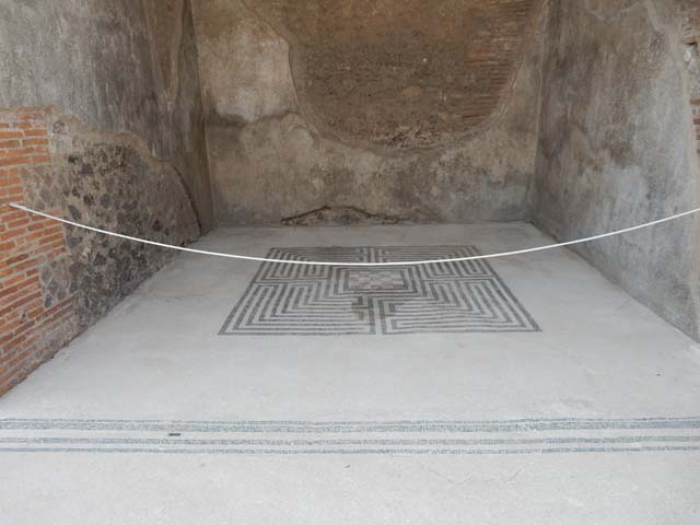 VIII.2.16 Pompeii. April 2019. Mosaic flooring in south ala. Photo courtesy of Rick Bauer.