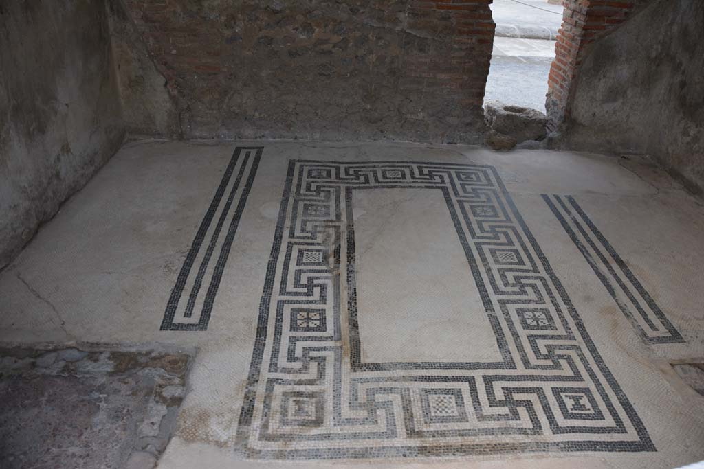 VIII.2.16 Pompeii. May 2017. Detail of mosaic floor on west side of cubiculum. Photo courtesy of Buzz Ferebee.