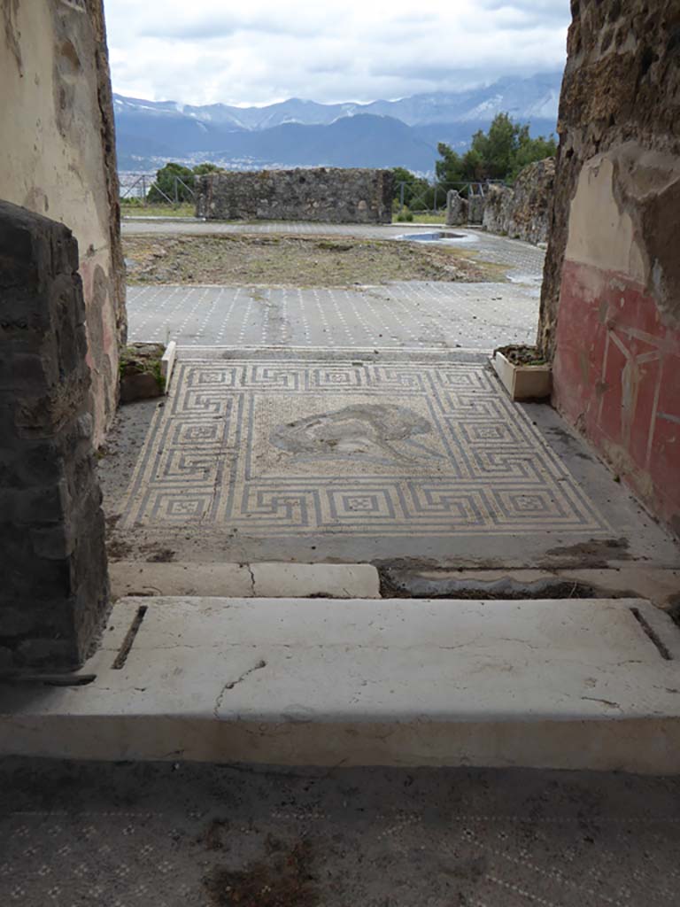 VIII.2.26 Pompeii. 
Looking south from entrance across mosaic and towards atrium floor of a black mosaic with dots of large white tesserae surrounded by a white striped border. Photographed 1970-79 by Günther Einhorn, picture courtesy of his son Ralf Einhorn.

