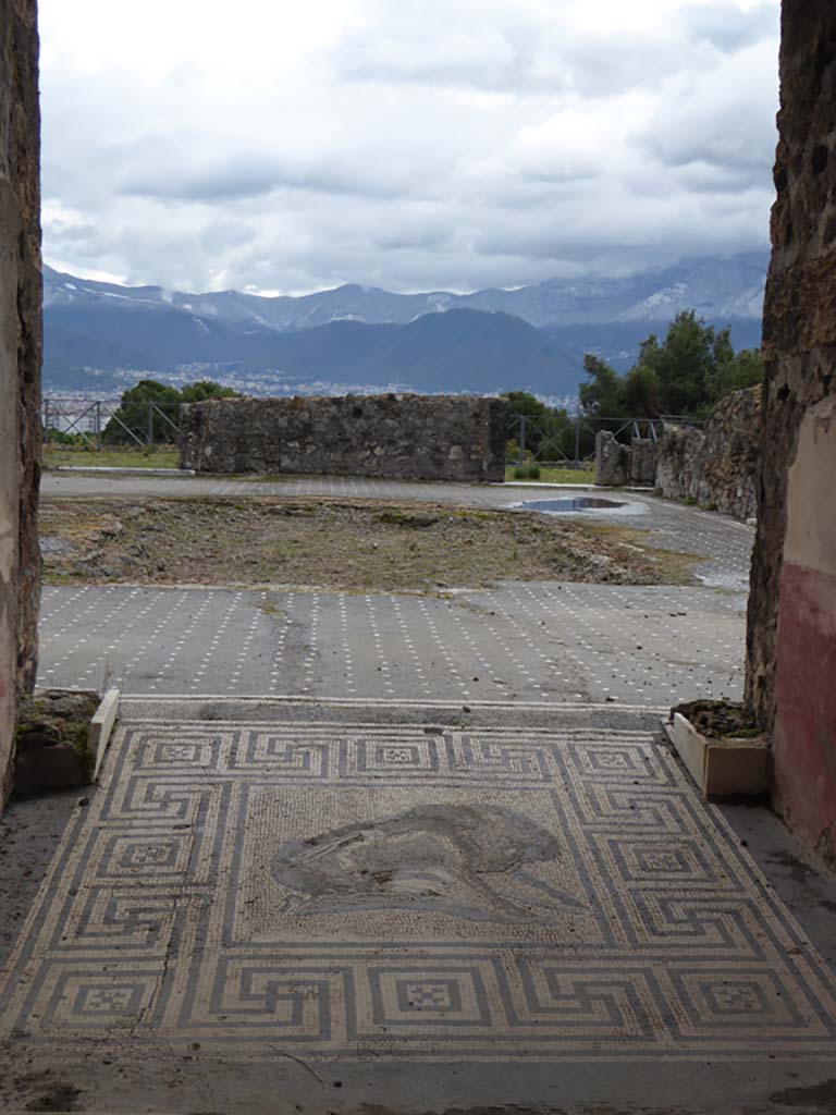 VIII.2.26 Pompeii. May 2010. Boar mosaic in entrance vestibule ‘b’.