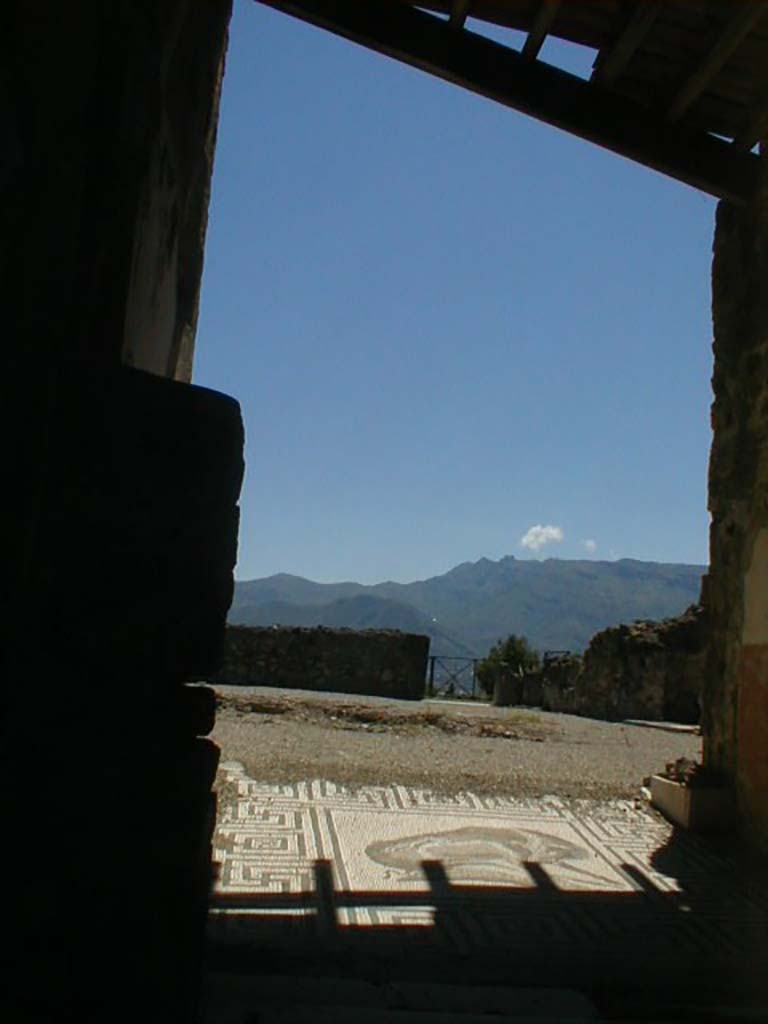 VIII.2.26 Pompeii. May 2004. Looking south from entrance across atrium ‘d’.