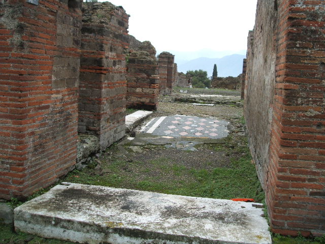 VIII.2.29 Pompeii. October 2020. Looking south along entrance corridor, from entrance doorway. Photo courtesy of Klaus Heese.