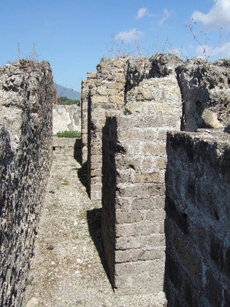 VIII.2.30 Pompeii. September 2005. Corridor on east side of house, leading north. 