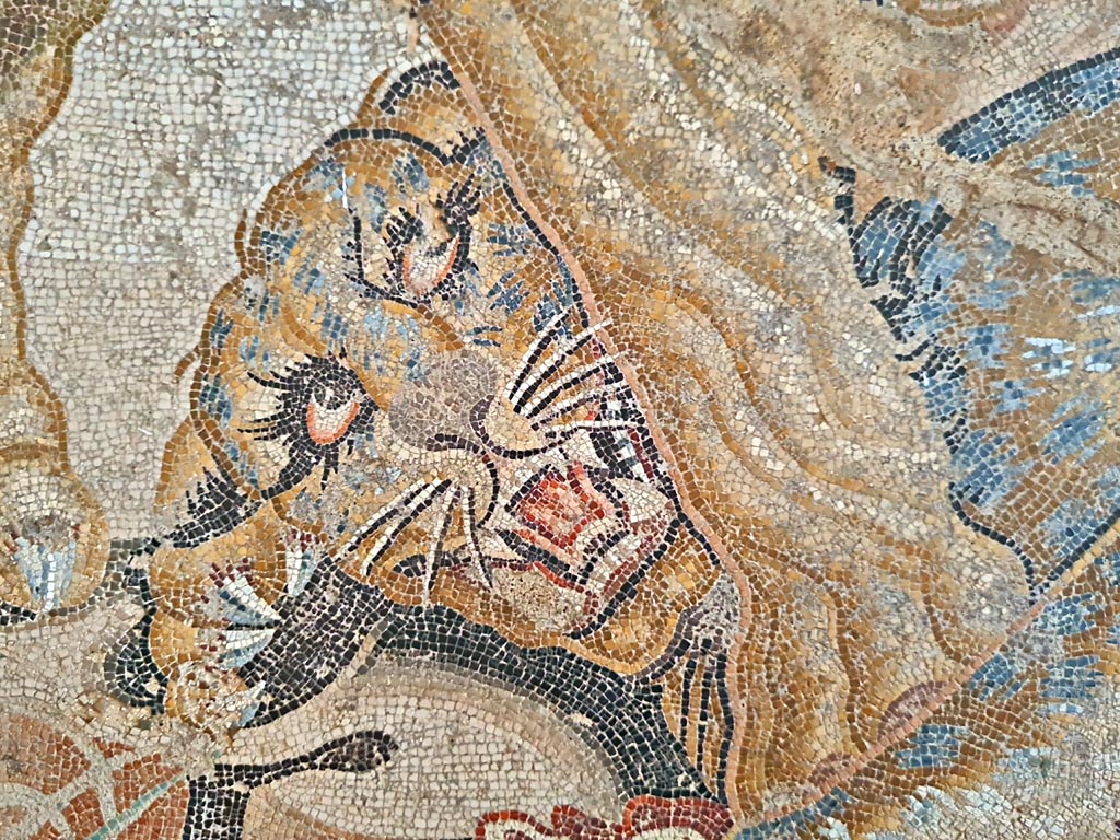 VIII.2.34 Pompeii. Room ‘o’, detail of leopard from mosaic. Photo courtesy of Giuseppe Ciaramella. September 2024.