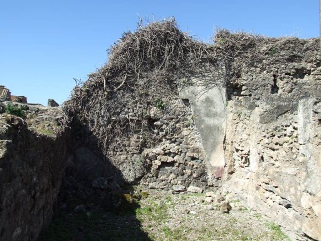 VIII.3.4 Pompeii.  March 2009. Room 8, Cubiculum.  West wall.