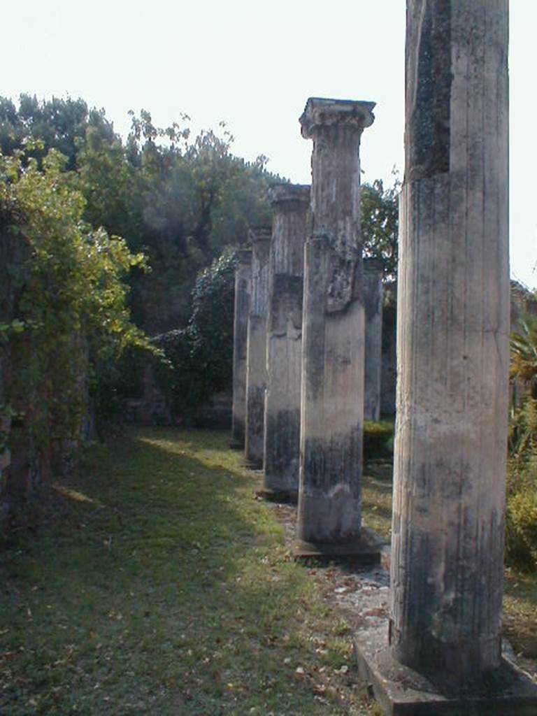 VIII.3.8 Pompeii. September 2004. East portico of peristyle, looking south.