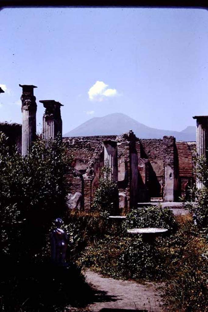 VIII.4.4 Pompeii. 1966. Looking north across garden from south portico. Photo by Stanley A. Jashemski.
Source: The Wilhelmina and Stanley A. Jashemski archive in the University of Maryland Library, Special Collections (See collection page) and made available under the Creative Commons Attribution-Non Commercial License v.4. See Licence and use details.
J66f0577

