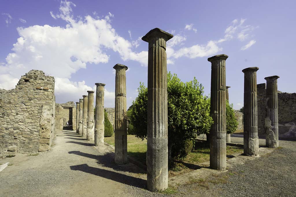 VIII.4.15 Pompeii. August 2021. 
Looking north along west portico, and north-east across peristyle garden. Photo courtesy of Robert Hanson.
