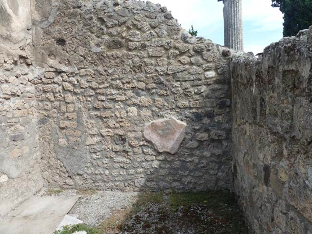 VIII.4.48 Pompeii. September 2015. East wall of rear room.

 
