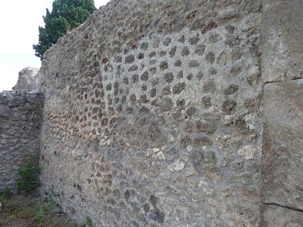 VIII.4.48 Pompeii. September 2015. South wall.