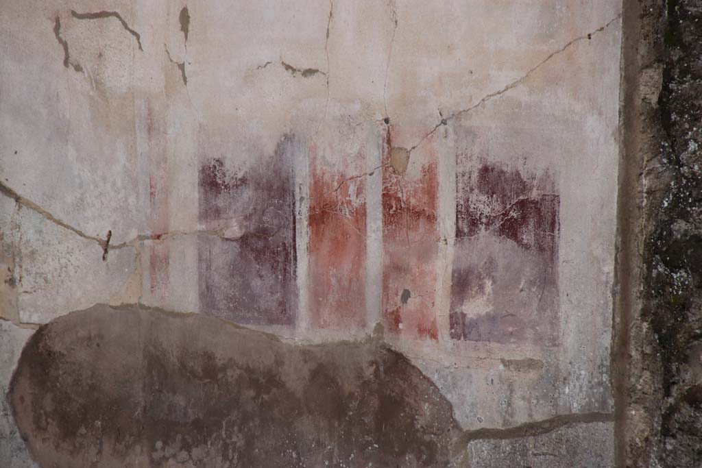 VIII.5.2 Pompeii. October2020.  Room 8, painted plaster on the lower west end of south wall of an oecus, at rear of peristyle garden. 
Photo courtesy of Klaus Heese. 
