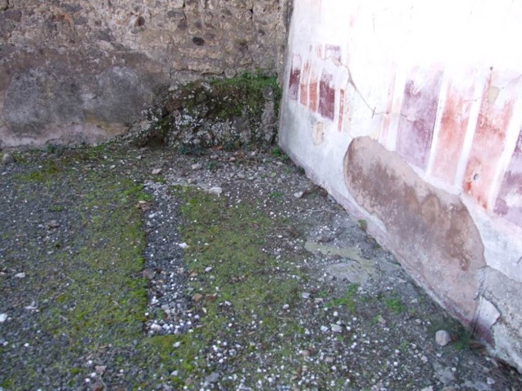 VIII.5.2 Pompeii. March 2009. Room 8, south-east corner of oecus. 
Floor near painted decoration in Oecus at rear of peristyle
