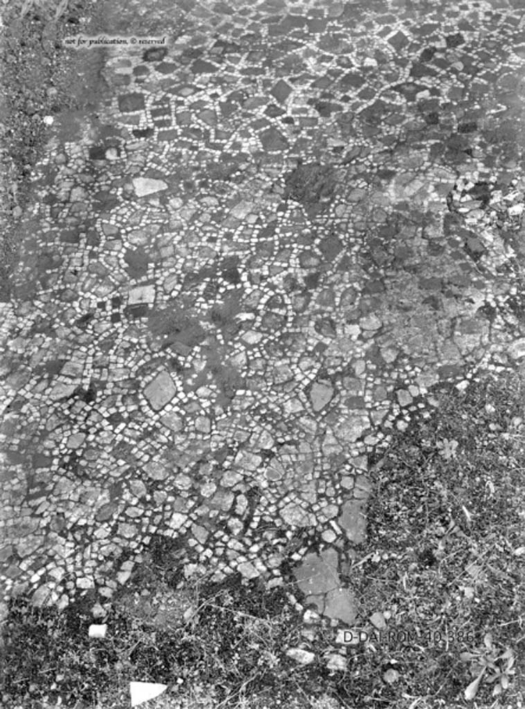 VIII.5.2 Pompeii. c.1930. Room 8, flooring in oecus against the south wall of the perystile.
DAIR 40.386. Photo © Deutsches Archäologisches Institut, Abteilung Rom, Arkiv.
See Pernice, E.  1938. Pavimente und Figürliche Mosaiken: Die Hellenistische Kunst in Pompeji, Band VI. Berlin: de Gruyter, 
(described as oecus “q”, and see tav. 14.1-2, above.)

