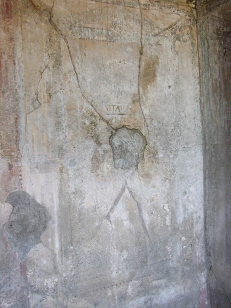 VIII.5.5 Pompeii. March 2009. Room 31, south wall of cubiculum with remains of one of the painted aedicula, edged by a border.  