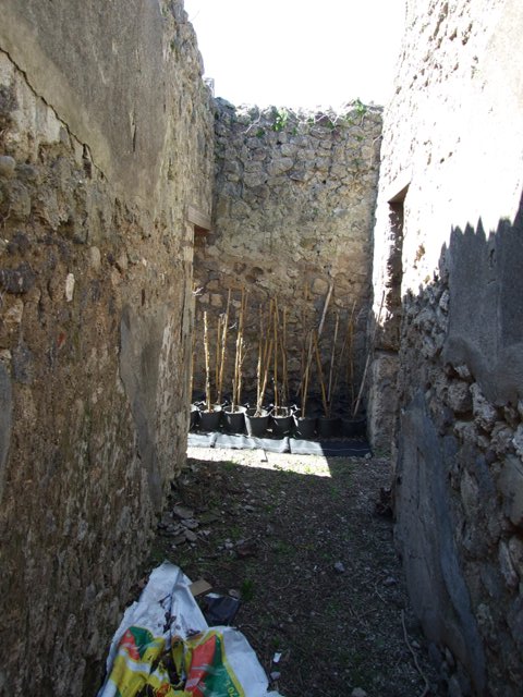 VIII.5.16 Pompeii.  March 2009.  North wall of small room with door to Large Triclinium, and contained staircase to upper floor?