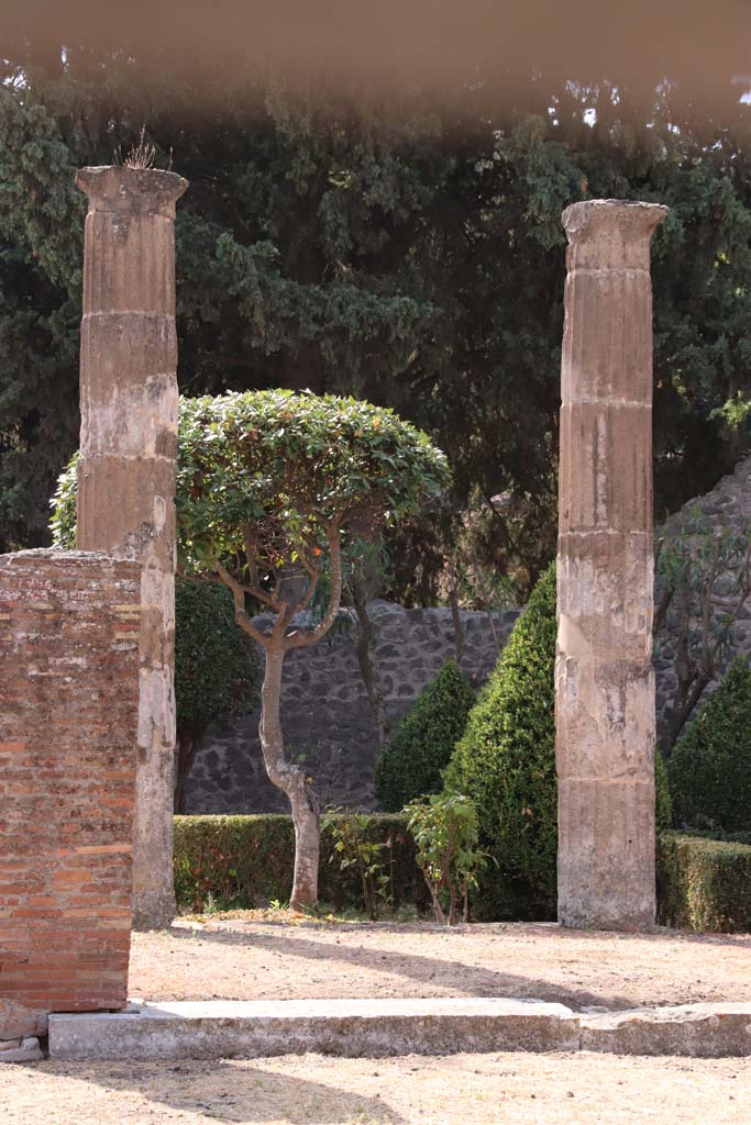 VIII.5.28 Pompeii. September 2019. Columns on north portico. Photo courtesy of Klaus Heese.