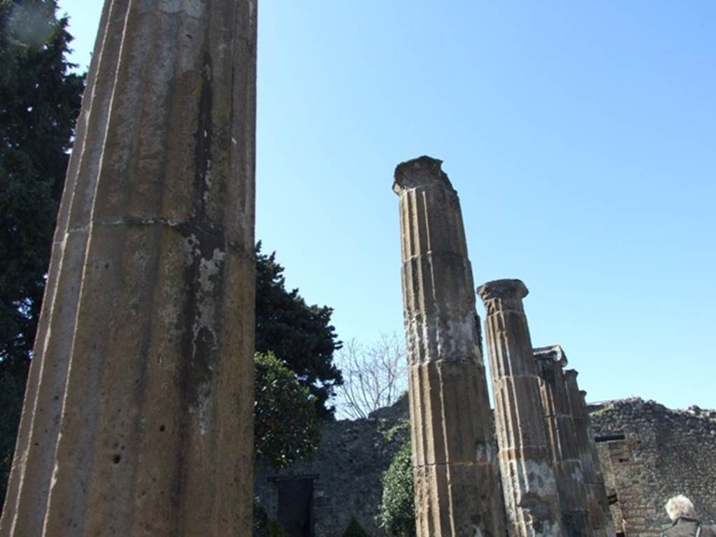 VIII.5.28 Pompeii.  March 2009.  Columns in North Portico.
