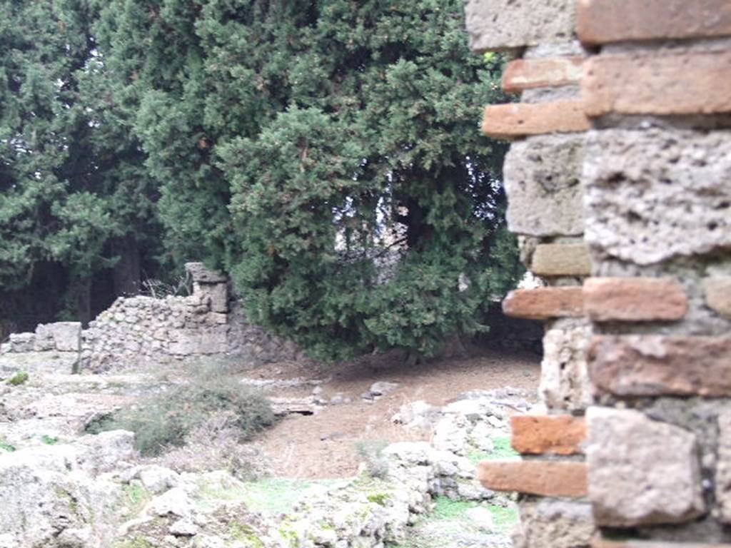 VIII.5.36 Pompeii.  December 2006.  Looking north west from entrance.  