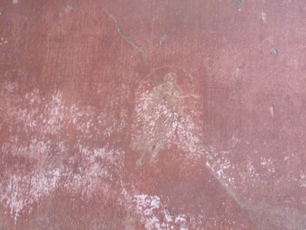 VIII.5.37 Pompeii. March 2009. Room 13, oecus. Painting of floating figure at west end of north wall. 