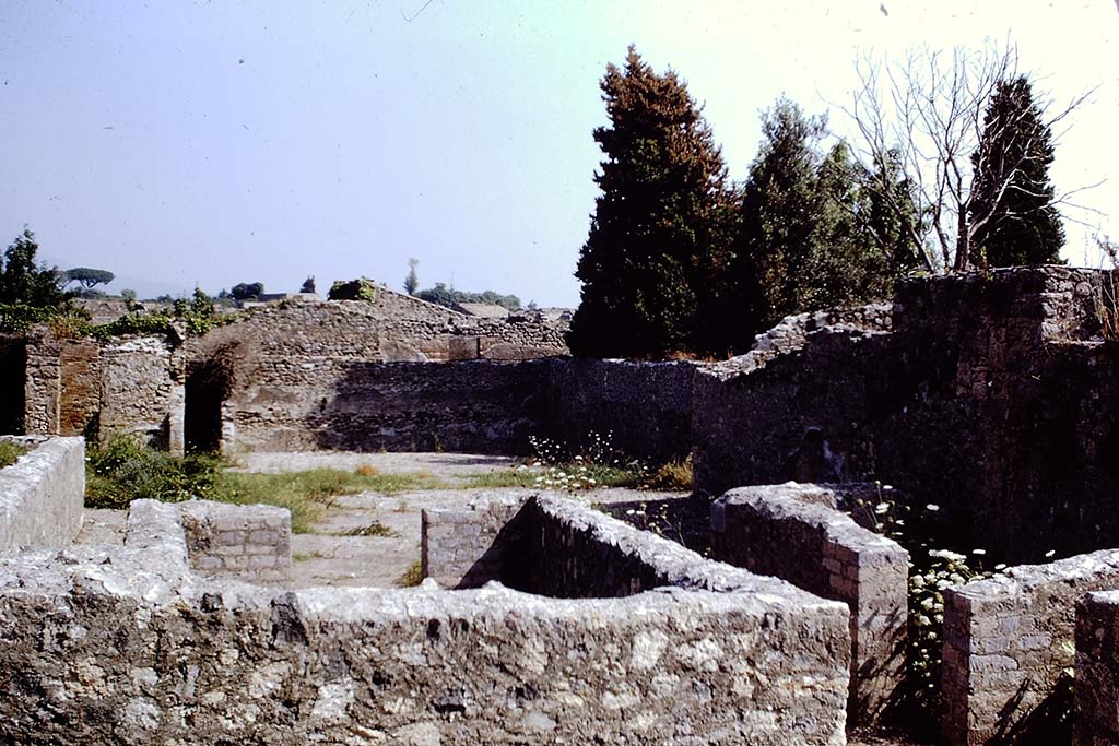 VIII.6.4 Pompeii. 1968. Looking north towards remains of peristyle garden. Photo by Stanley A. Jashemski.
Source: The Wilhelmina and Stanley A. Jashemski archive in the University of Maryland Library, Special Collections (See collection page) and made available under the Creative Commons Attribution-Non Commercial License v.4. See Licence and use details.
J68f1226  
According to Jashemski –
“The garden was enclosed on four sides by a portico supported by fourteen brick columns, of which only the bases remained.
The area at the rear had been cleared of previous construction, probably after the 62AD earthquake, as had the area to the west, for which even the location of the entrance is not clear.”
She described this location as VIII.6.3 (No.14 at Pompeii).
Sources: Sogliano, NSc., (1883), p.51; Mau, BdI., (1884), p.135-136 (where the location is given as VII.7.[5].
See Jashemski, W. F., 1993. The Gardens of Pompeii, Volume II: Appendices. New York: Caratzas. (p.219).


