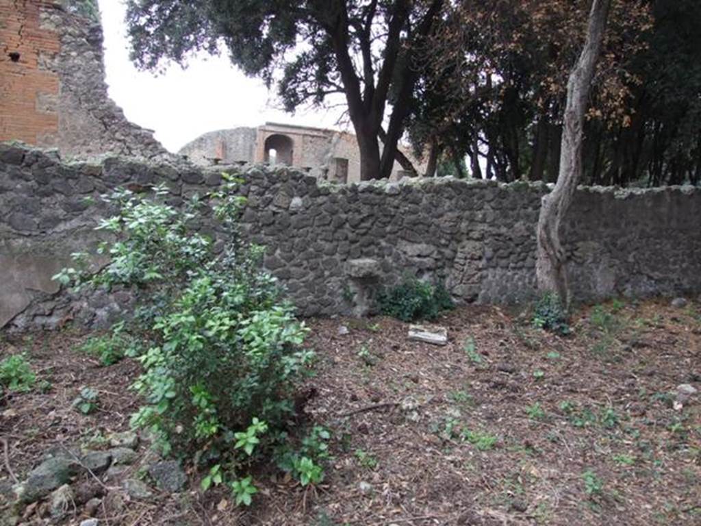 VIII.6.6 Pompeii.  Horticultural plot.  December 2007.  Looking towards east wall.