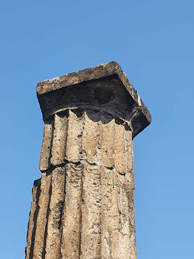 VIII.7.16 Pompeii. July 2021. Detail of Doric column.
Foto Annette Haug, ERC Grant 681269 DÉCOR.
