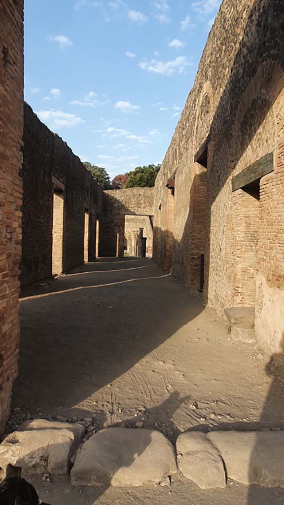 VIII.7.17 Pompeii,. May 2005.  Corridor from entrance.