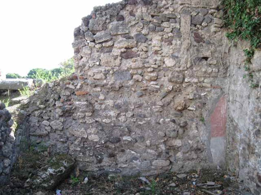 VIII.7.24 Pompeii. September 2010. South wall of ala, with remains of painted plaster. Photo courtesy of Drew Baker.
