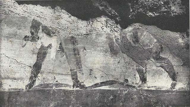 VIII.7.24 Pompeii. 1955. Fragment of Nilotic painting in peristyle. East wall. Gladiatorial combat.
See Maiuri A., 1955. Una Nuova Pittura Nilotica a Pompei. Roma: Acc. Naz dei Lincei, Tav. VIII, 2.
