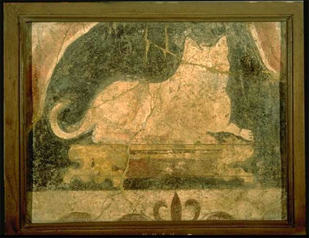 VIII.7.28 Pompeii. Found in the niche area of the pastophorion (priest’s accommodation). Painting of the cat symbolising the cat goddess Bast or Bastet from the Old Kingdom. Now in Naples Archaeological Museum. Inventory number 8648.